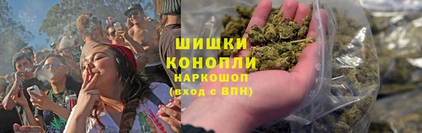 ешки Вяземский
