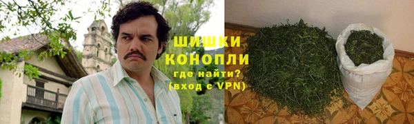 ешки Вяземский
