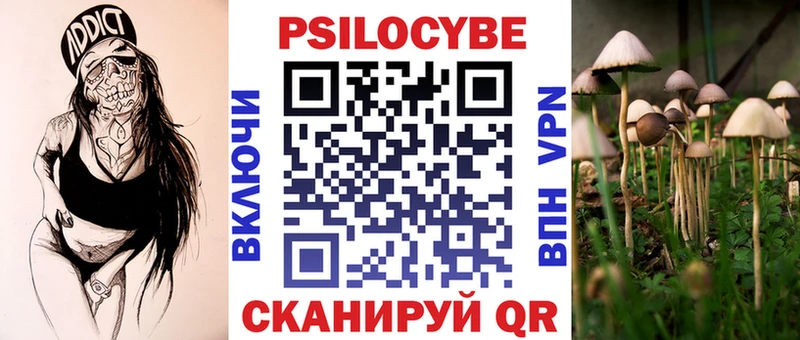Псилоцибиновые грибы мухоморы  ОМГ ОМГ онион  Нефтекамск  закладки 
